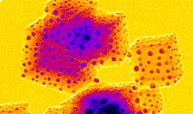 This image shows cubes of magnesium oxide. Nanoscale particles of gold were deposited on the crystal faces to help define the surface topography.